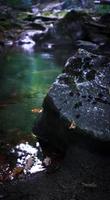 Close up large rock on riverbank concept photo