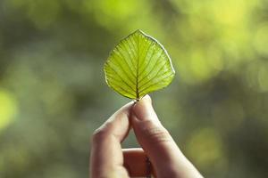 Close up female hand holding leaf in epoxide resin concept photo