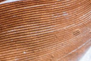 Macro photo of brown feather with water drops. Background, design element