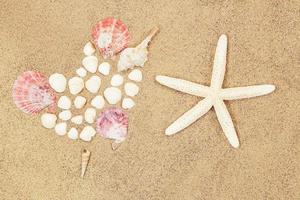 Heart of conch and white shells, starfish on sand. Valentine's day, travel, vacation photo