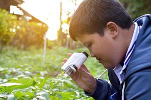Young Asian boy is holding a pocket microscope to look at tiny particles on plant leaves to study plants and organisms on different types of plants in botanical garden, soft and selective focus. photo