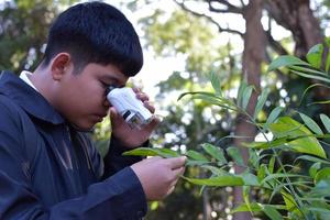 Young Asian boy is holding a pocket microscope to look at tiny particles on plant leaves to study plants and organisms on different types of plants in botanical garden, soft and selective focus. photo