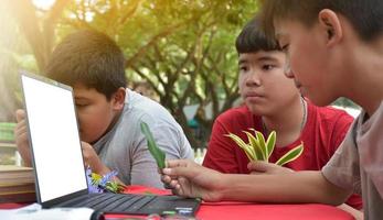 Young Asian boys doing homework and do the reports about various species of tropical forests by using laptops, magnifiers, notebooks, pocket binoculars and tablets, mockup laptop concept. photo