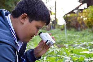 Young Asian boy is holding a pocket microscope to look at tiny particles on plant leaves to study plants and organisms on different types of plants in botanical garden, soft and selective focus. photo