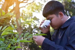 Young Asian boy is holding a pocket microscope to look at tiny particles on plant leaves to study plants and organisms on different types of plants in botanical garden, soft and selective focus. photo