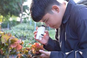 Young Asian boy is holding a pocket microscope to look at tiny particles on plant leaves to study plants and organisms on different types of plants in botanical garden, soft and selective focus. photo