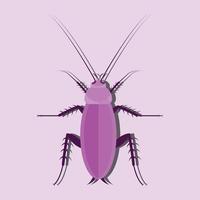diseño animal cucaracha en color morado