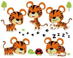 Vector illustration set of little tiger cartoon in different activity with turtle