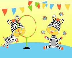 ilustración vectorial de dibujos animados de cebra gemela en espectáculo de circo vector