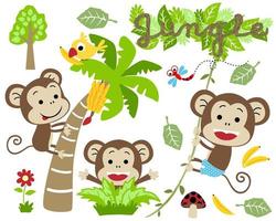 conjunto vectorial de divertidos dibujos animados de monos en diferentes actividades con aves y libélulas, ilustración de elementos de la selva vector