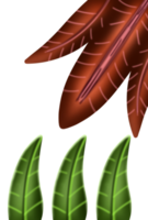 dekoratives ästhetisches blattverzierungselement png