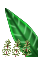 Decorative Aesthetic Leaf Ornament Element png