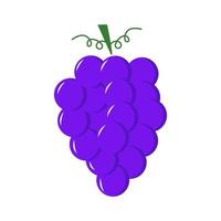 ilustración vectorial de uvas. uvas planas aisladas. vector