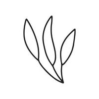 Doodle branch of flower. Vector branch with leaves illustration. Hand drawn doodle herb isolated