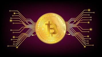 Detailed gold coin Bitcoin BTC token with pcb tracks on dark red background. Digital gold in techno style for website or banner. Vector illustration.