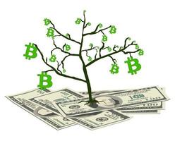 Concept of converting bitcoin from dollars isolated on white. The bitcoin tree grows on 100 dollar bills. Vector illustration.