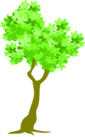 árbol png, bosque png