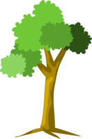 albero png, cartone animato albero png