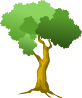 árbol png, árbol de dibujos animados png