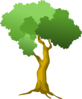 albero png, cartone animato albero png