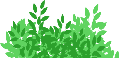 buisson gratuit png. buisson de dessin animé png