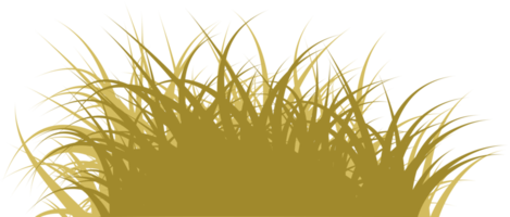 hierba marrón png
