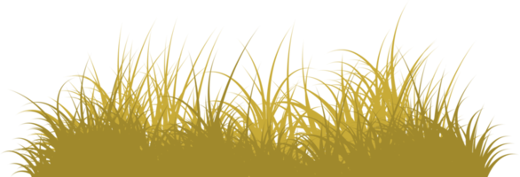 grass png. wild grass isolated