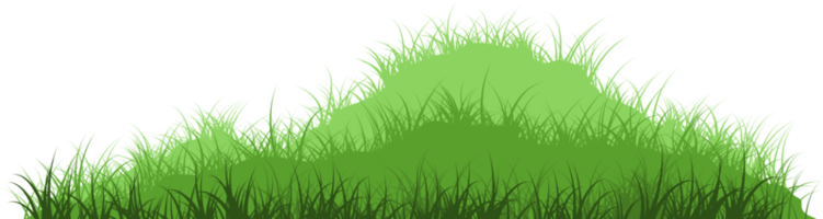 gras heuvel PNG