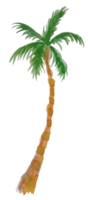 watercolor palm tree png