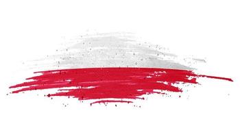 bandera nacional de polonia vector