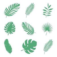 Set of twigs, natural plants vector