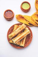 Indian paneer bread roll made using spiced grated cottage cheese mixed with spices, rolled and baked photo