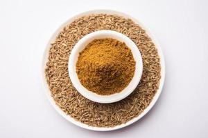 Jeera powder indian spice photo