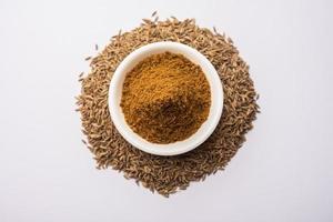 Jeera powder indian spice photo