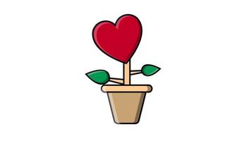 fleur festive dans un pot en forme de coeur symbole de l'amour pour la saint valentin isolé sur fond blanc. fond abstrait. vidéo en haute qualité 4k, motion design video