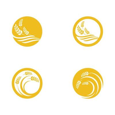 Agriculture wheat vector