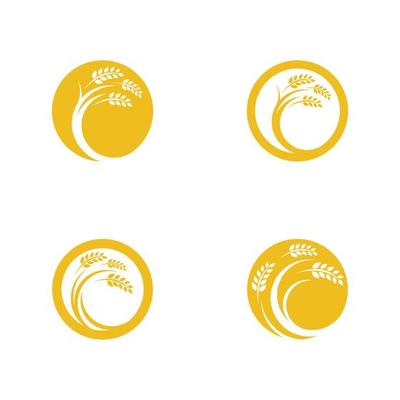 Agriculture wheat vector