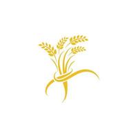 Agriculture wheat vector