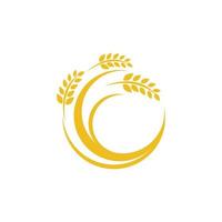 Agriculture wheat vector