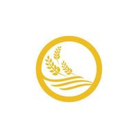 Agriculture wheat vector