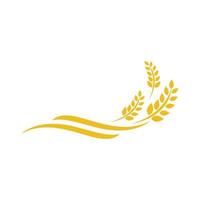 Agriculture wheat vector