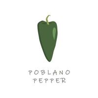 poblano pepper flat design vector illustration. Capsicum annuum poblano chili