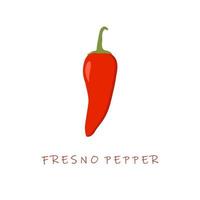 fresno pepper flat design vector illustration. fresno chili
