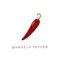 guajilo pepper flat design vector illustration