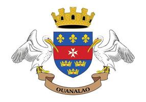 National flag of Saint Barthelemy - Flat color icon. vector