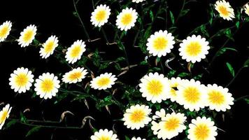 Ilustración digital botánica de flores abstractas foto