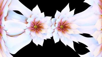 Abstract Flowers Botanical Digital Illustration photo