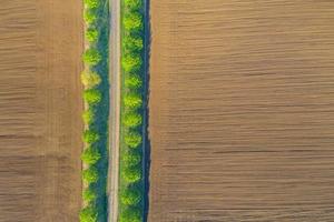 Aerial top view of a country road through a agricultural field landscape and a green tree line next to road. Idyllic aerial scenery, green trees with agriculture field. Wonderful nature pattern photo