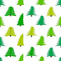 Seamless pattern with spruces on white background. Vector illustration