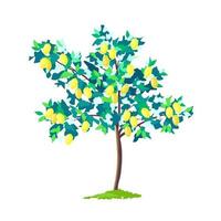 Lemon tree abstract illustration vector